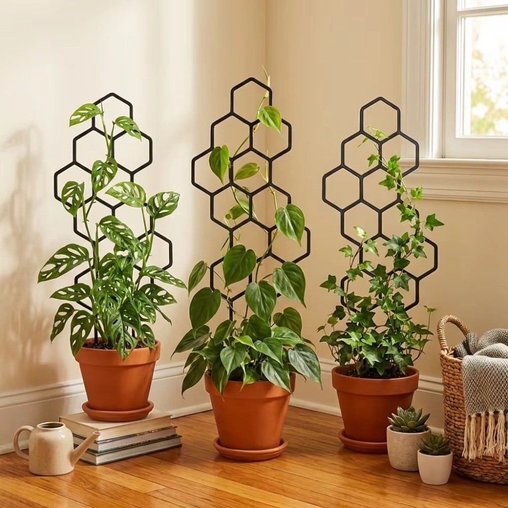 Sphagnum Moss Dry - Honeycomb Design Plant Trellis Plastic Support