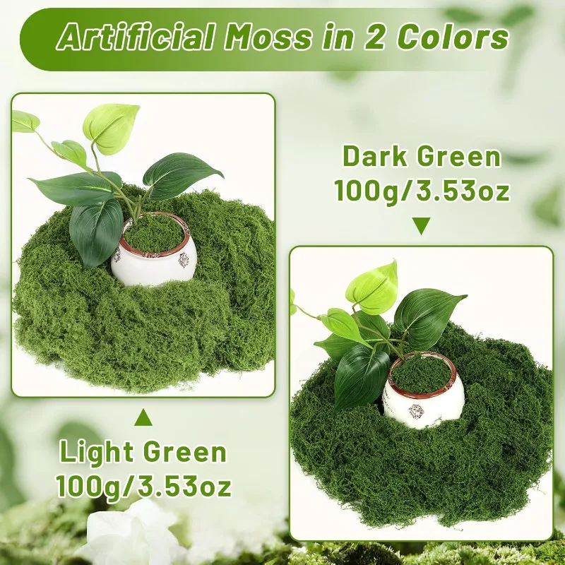 Eternal Life Moss Grass Artifi - Sphagnum Moss Dry ulasan dan harga