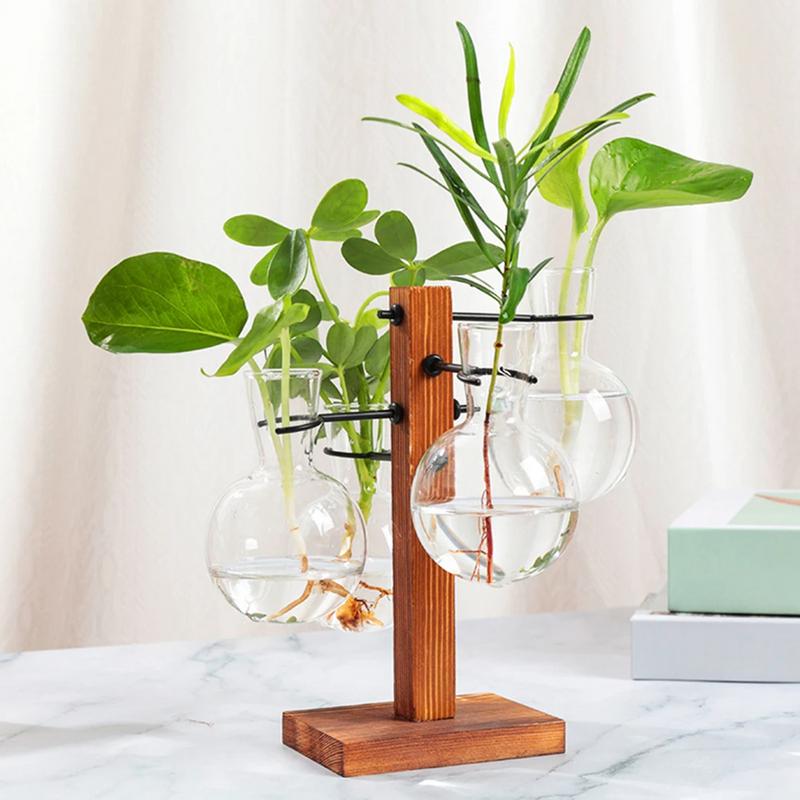 Terrarium With Stand Terrarium - Propagation Station Vase ulasan dan harga
